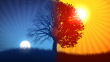 3932132-tree-and-sun-moon-02-background